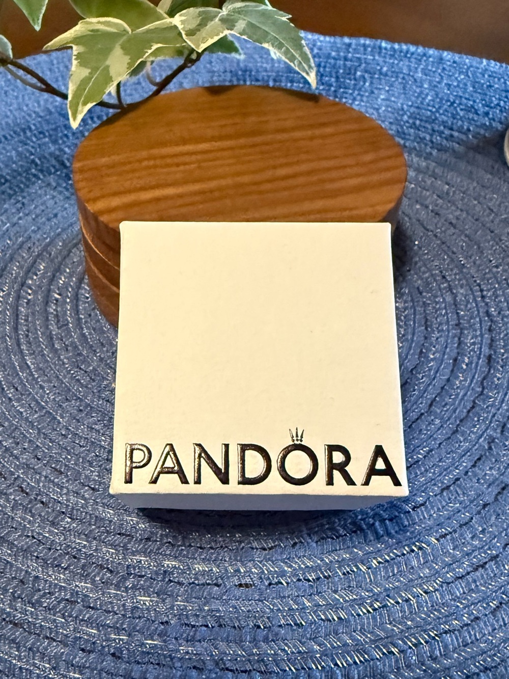 Pandora Charm Box
